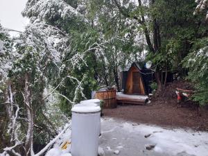 Domos el Avellano De los Pellines - Camino a Termas de Chillán