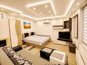 Elegant Ground-Floor Studio with Covered Terrace and Direct Access to Nature