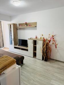 Apartament Alfa Saturn
