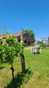 Shaverge wine cellar and cottejes