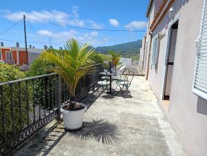 Casa los Agapantos