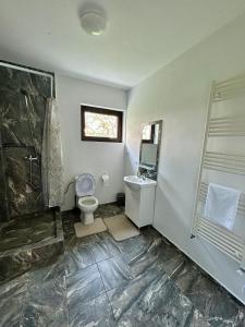 Vila Safir Maramureș