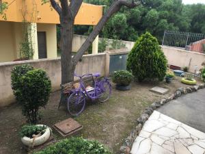 Casa Steval img10