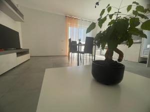 Kalloreat Home