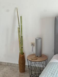 Grandmas Cozy Nest