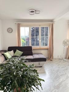 Helle Wohnung nahe Bern