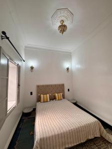 Riad Omi Zelya