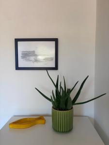 Garden 24 img23