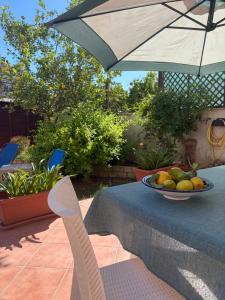 Garden 24 img27