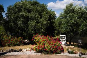 Villa Lorella - Guest house Oltremare