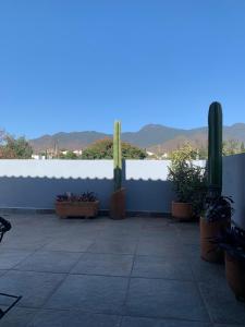 Agave Room