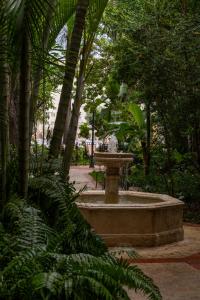 Hodelpa Nicolás de Ovando