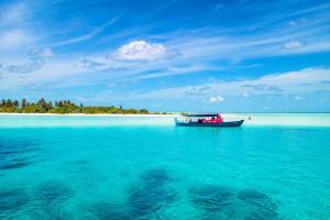 Amazonite Maldives