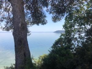 1-Bedroom Apartment with Garden, Terrace and View