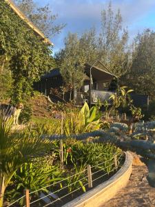 Vive Rela Tiny Houses