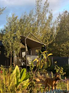 Vive Rela Tiny Houses