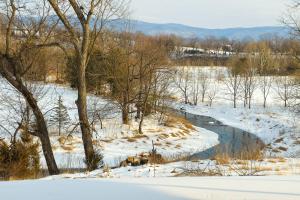 Mtn & Creek Views! Harrisonburg Escape on 10 Acres