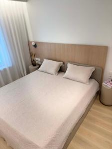 Vanagupės apartamentai Palangoje