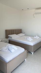 Rajan apartement