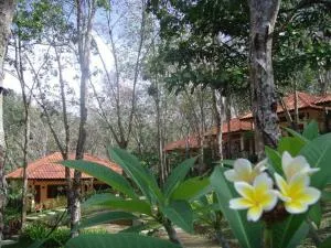Koh Mook Rubber Tree Bungalows - Нгай
