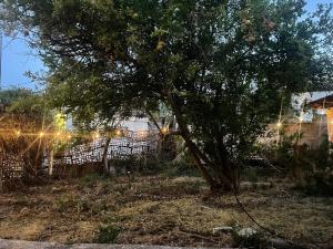 Durres Garden Stay