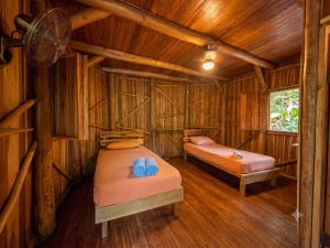 Don Jons Surf and Yoga Lodge