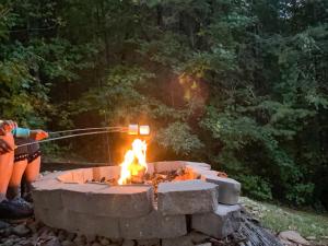 Rustic Cabin, Fire Pit with HotTub, Mountain Views, Peaceful Location