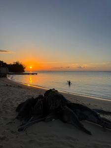 Shaw Park Beach Hotel at Sunny Beach Inn