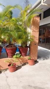 Casa Coral Punta Leona piscina privada a 500 m de playa Mantas 1200m de playa Blanca