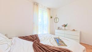 Apartman Golden Star