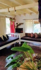 Chalet para 7 en Mar del Plata con parque y parrilla