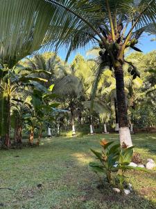 Casa Labonté tropical