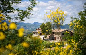 Pet Friendly Apartment In Santangelo In Vado