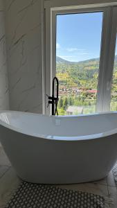 Panorama View Slavske