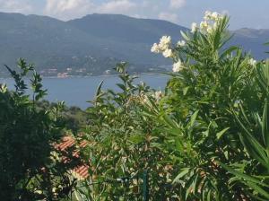 Panoramic Seaview studio Tiuccia