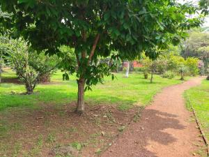 Placentera y Amplia Casa en Coatepec Veracruz