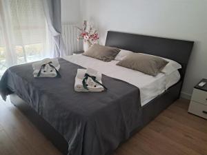 Astrea Holiday Home