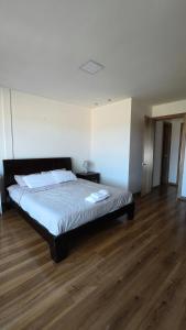 Enorme casa moderna de lujo, 4 camas, junto al hotel Oro verde, 2 garajes electricos