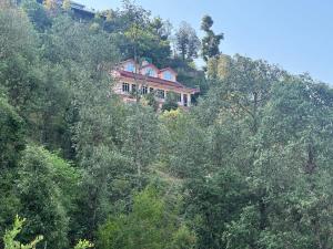 Yalisha homestay