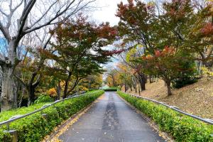 ojima7
