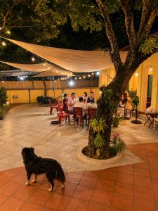 Phams Homestay