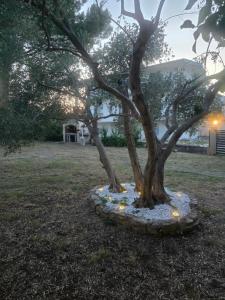VIN&CO Boutique House, fenced yard with parking space, pet friendly