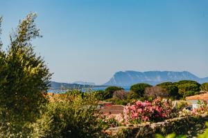 VILLA INDIPENDENTE AL MARE BUDONI img13