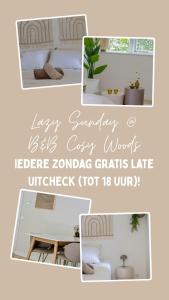 B&B Cosy Woods - stijlvolle suites aan het bos!