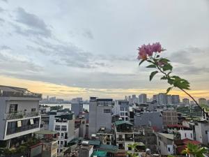 Ha Noi Vivu home 4701AC