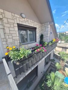 Apartman Edina