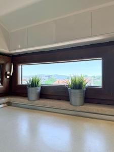 Apartman Lea - Vila Ružica