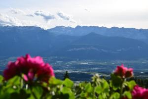 Rifugio Predaia Ai Todesci