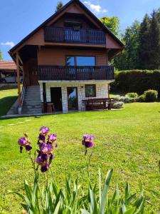 Chalet Zasavka