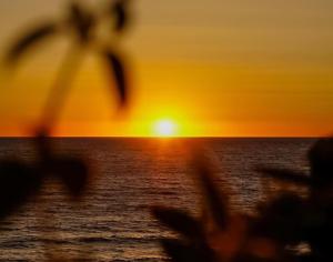 MIZI APARTMENT - Spacious independent residence with terrace and parking, 4 minutes from the beach and 100 m from Lavinio train station, with hourly connections to Rome, Anzio and Nettuno - Lavinio Stazione